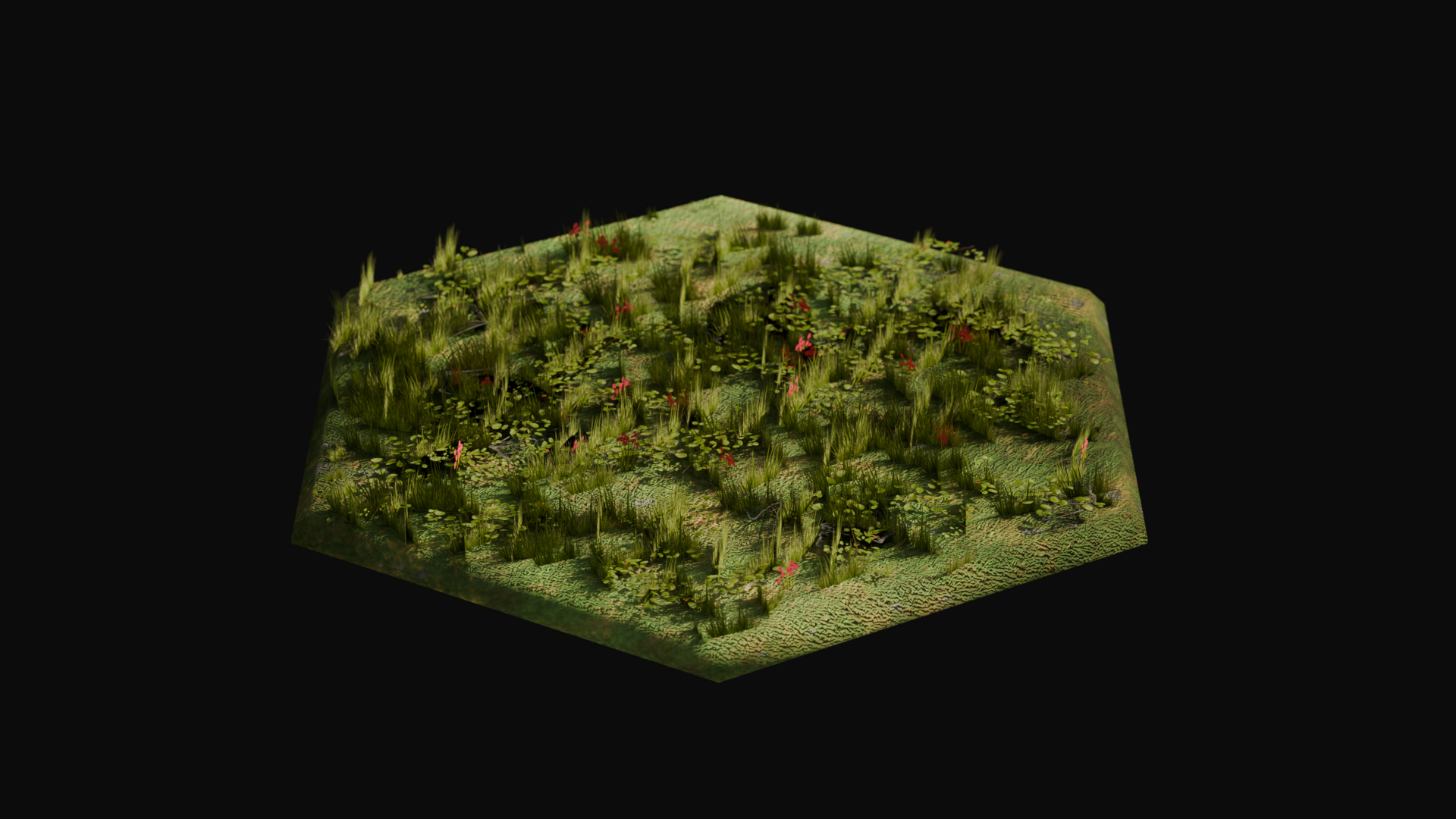 Grassland biome