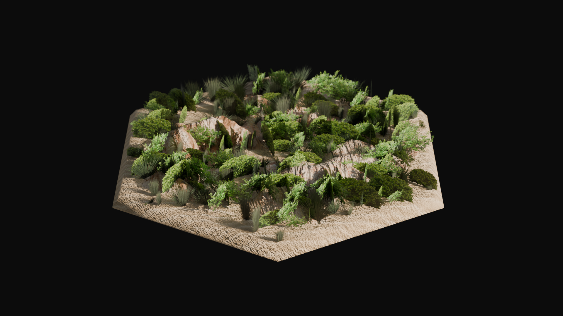 Shrubland biome