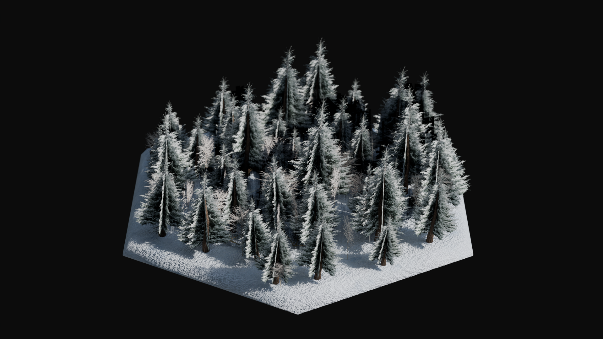Taiga biome