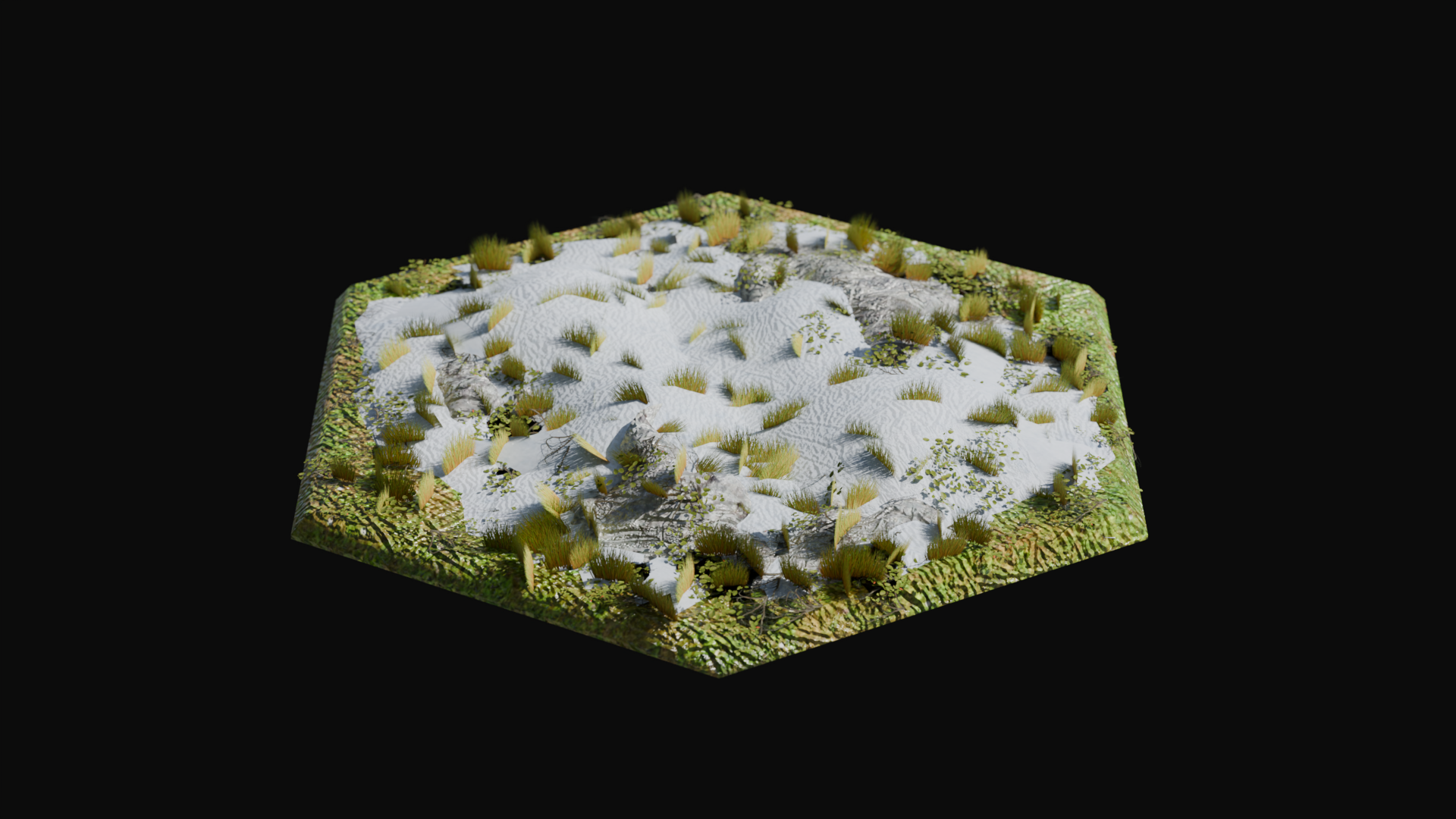 Tundra biome